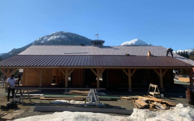 Is a Factory Metal Roof Panel Manufacturer Right for Your Business?