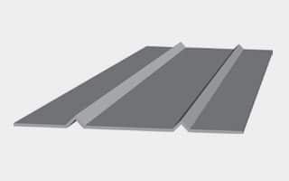 V-Ribs (Small or Large)